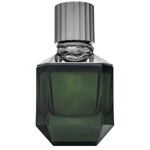 Roberto Cavalli Paradise Found for Men eau de parfum 50ml pas cher