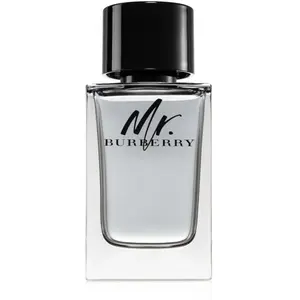 Burberry Mr. Burberry Eau de Toilette Spray 150 ml pas cher