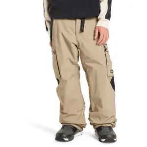 Comparateur de prix : Quiksilver Pantalon Snow Down Cargo