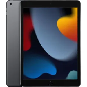 Apple - iPad (2021) - 10,2" - WiFi - 64 Go - Gris Sidéral - Reconditio... pas cher