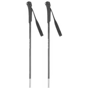 Rossignol Bâtons Ft-500 pas cher