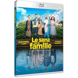 Gaumont Le Sens de la famille Blu-ray pas cher