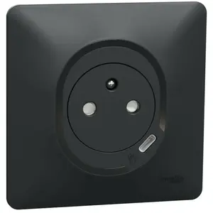 Schneider Ovalis - combi 2P+T 16A affleurante+chargeur usb-c 10,5W - connex. auto - Anth (S340089) pas cher