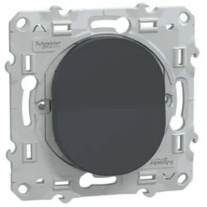 Bouton poussoir fermeture 10A anthracite - Ovalis - Schneider pas cher