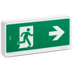 Schneider Electric - Exiway Light Bloc de secours Evacuation IP65 sati (OVA59111) pas cher