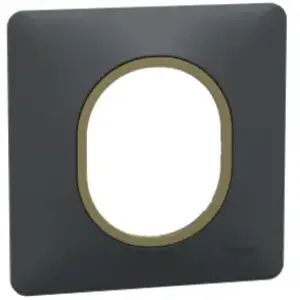 Ovalis plaque de finition 1 poste anthracite bague effet laiton Schneider S340702E pas cher