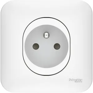 Schneider Electric Prise de courant 2 pôles + Terre ovalis, 250 V, Bla... pas cher