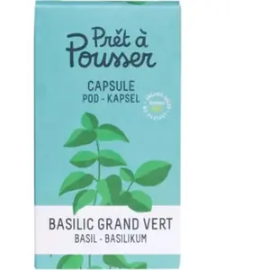 Recharge jardin d'intérieur PRET A POUSSER BASILIC GRAND VERT pas cher