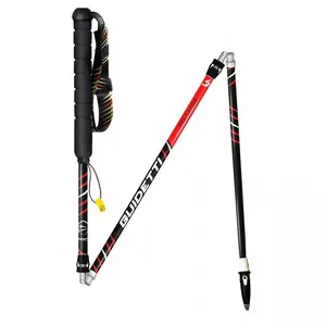 Guidetti Bâtons Silver pas cher