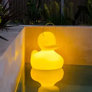 Goodnight Light DUCK DUCK-Lampe flottante d'extérieur LED RGB télécomm...Vendu parbol