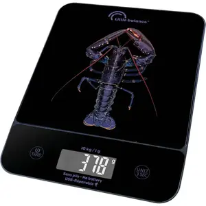Balance de cuisine - LITTLE BALANCE - 8710 - Happy Genius 10 - USB - Sans pile - Blue Homard pas cher