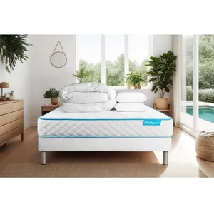 Comparateur de prix : Bodycare Pack Bodyone 160x200 + 2 Oreillers Memoire De Forme