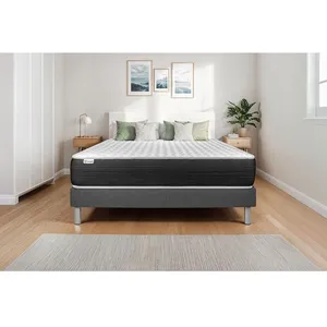 Comparateur de prix : VITALIT Ensemble Vitalspring 160 X 200 Cm