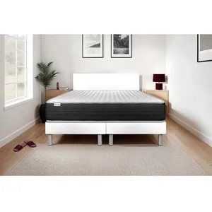 Comparateur de prix : VITALIT Ensemble sommier matelas 160x200 VITALMEMO ONE Mémoire de forme - 24 cm - Ferme - double sommiers blanc
