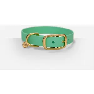Collier pour Chien Ultra Premium Direct x Fidèle Paris - Édition limit... pas cher