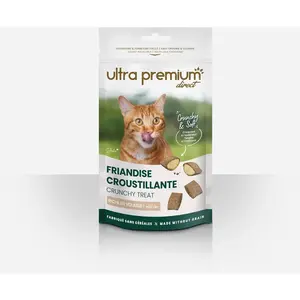 Friandise croustillante pour chat pas cher