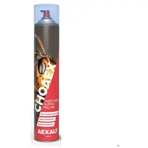 Comparateur de prix : Insecticide anti guêpes frelons Choaex aérosol de 1000 ml - AEXALT - I...