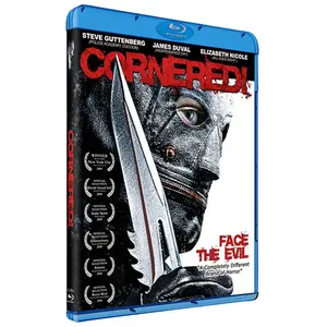 ACTION COMMUNICATION Cornered ! - Blu-Ray pas cher