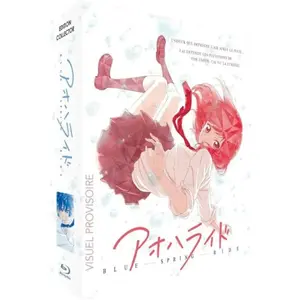 Black Box Blue spring ride Intégrale Edition Collector limitée Combo Blu-ray + DVD pas cher