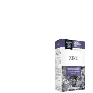 Dayang Zinc 30 gélules pas cher
