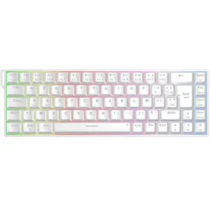 The G-Lab Keyz Titanium HE - Blanc pas cher