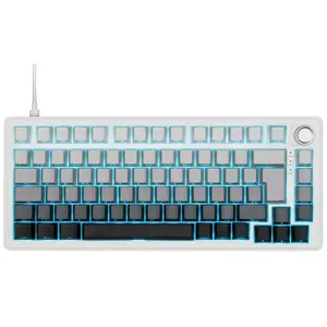 The G-Lab Keyz Elite 300 - Gris/Blanc