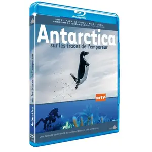 Chalet Pointu Antarctica, sur les traces de l'empereur Blu-ray pas cher