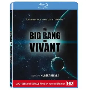 Arcades Cnt Du Big Bang au vivant Blu-ray pas cher