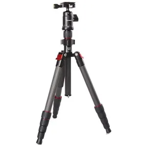 Starblitz ZTSC215 pas cher