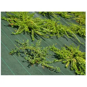 MAILLE STORE Toile de paillage - Vert - 130gr/m² Pliés en 2 1.65m x 100m Vert pas cher