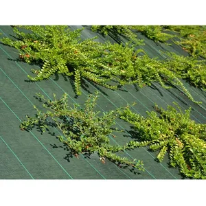 Toile de paillage - MAILLE STORE - Vert - 130gr/m² - 2.10m x 100mVendu parcdiscount