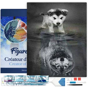 Figured'Art Diamond Painting set Volwassenen 40x50 cm met lijst Hond e...