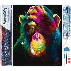 Figured'Art Diamond Painting set Volwassenen 40x50 cm Aap Kleur - 5D D...
