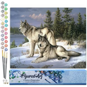 Figured'Art Schilderen op Nummer Volwassenen canvas Wolfspaar - Handwe... pas cher