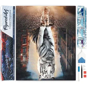 Figured'Art Diamond Painting set Volwassenen 40x50 cm Kat reflectie in...