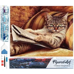 Figured'Art Diamond Painting set Volwassenen 40x50 cm De kenner Chat -...