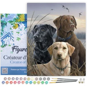Figured'Art Schilderen op Nummer Volwassenen met lijst - Drie Labrador... pas cher