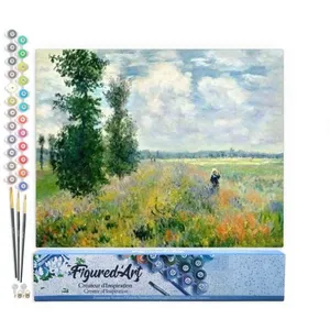 Figured'Art Schilderen op Nummer Volwassenen canvas Monet Veld met kla...