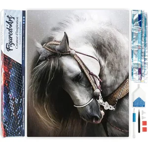 Figured'Art Diamond Painting set Volwassenen 40x50 cm Geweldig paard -... pas cher