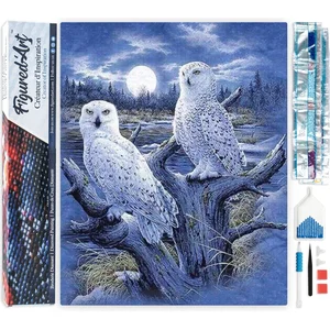 Figured'Art Diamond Painting set Volwassenen 40x50 cm Uilen en maan - ... pas cher