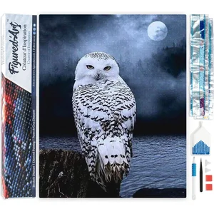 Figured'Art Diamond Painting set Volwassenen 40x50 cm Witte Uil - 5D D...