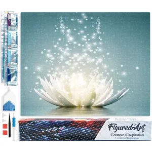 Figured'Art Diamond Painting set Volwassenen 40x50 cm Magisch licht - ...