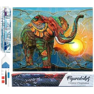Figured'Art Diamond Painting set Volwassenen 40x50 cm Artistieke Olifa...