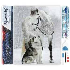 Figured'Art Diamond Painting set Volwassenen 40x50 cm Paard en wolf in...