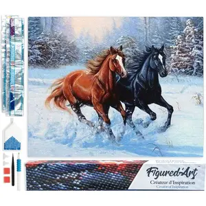 Figured'Art Diamond Painting set Volwassenen 40x50 cm Twee paarden in ...