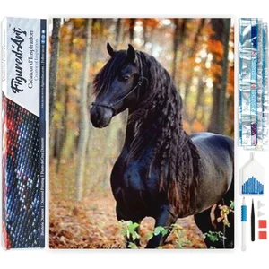 FIGURED'ART Diamond Painting - Figured’Art - Jument noire - 40x50cm - ...