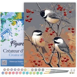 Figured'Art Schilderen op Nummer Volwassenen met lijst - Vogels en fru...