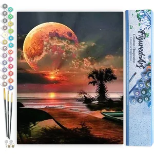 Figured'Art Schilderen op Nummer Volwassenen canvas Volle maan en stra... pas cher
