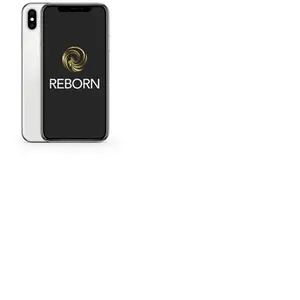 Reborn Apple iPhone X 64 Go Argent pas cher