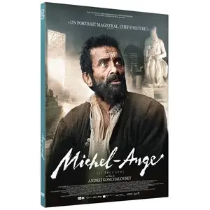 UFO DISTRIBUTION Michel-Ange DVD pas cher